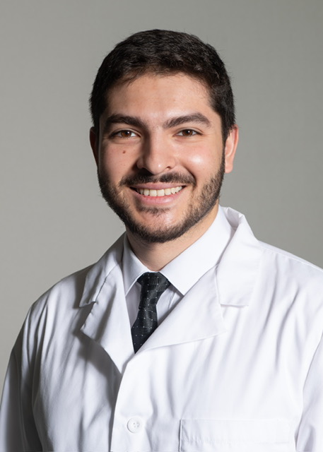 Hasan Hammo Hasan Hammo